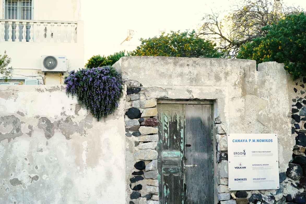 ϣ��-�����198ʥ�����ᵺ6