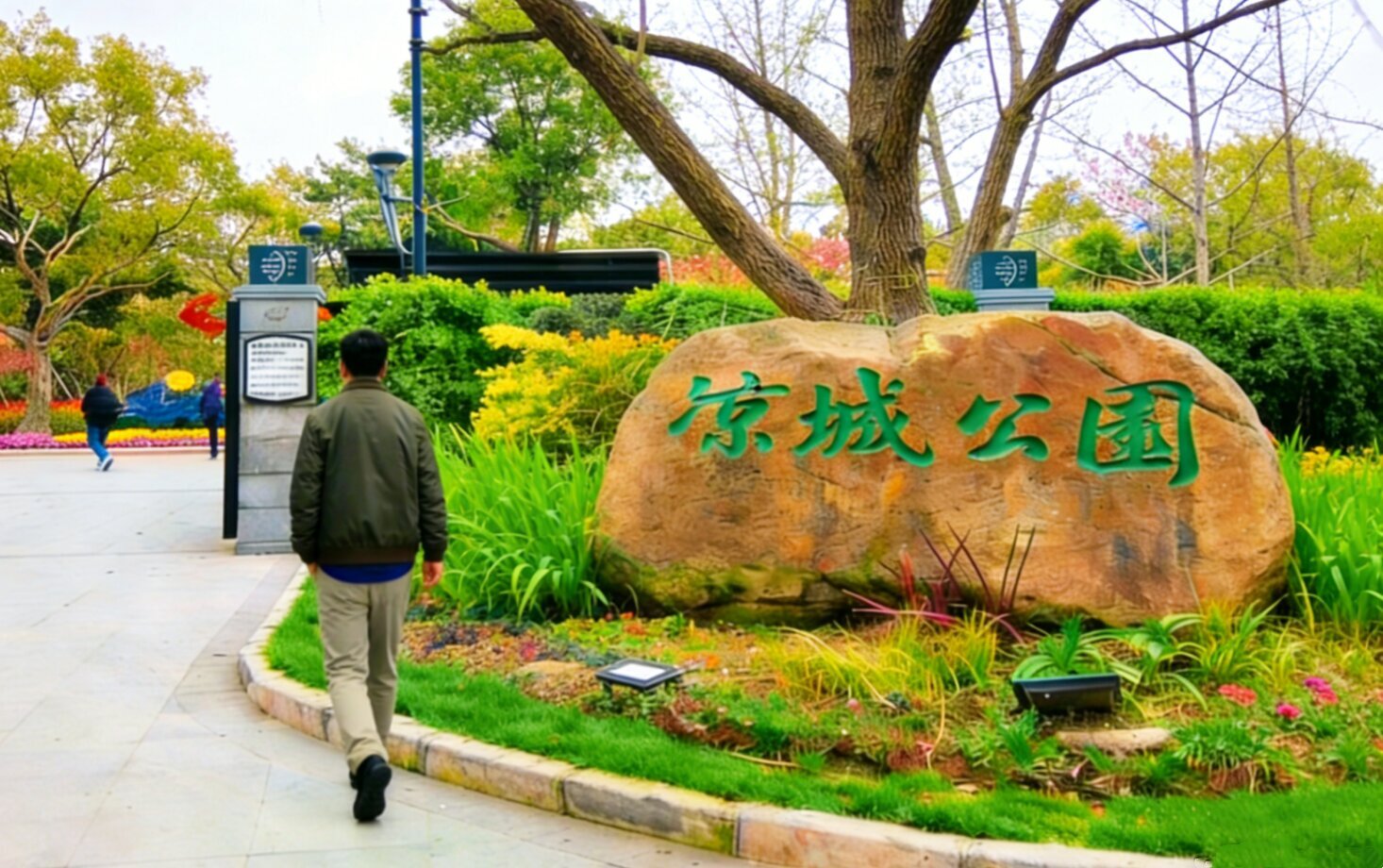 ��԰���˰�̬