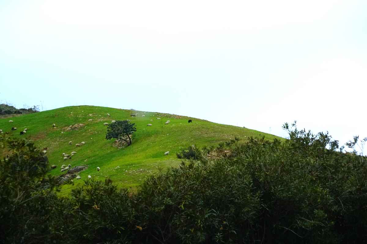 ϣ��-�����262�����ص��׸�������������Ӱ1